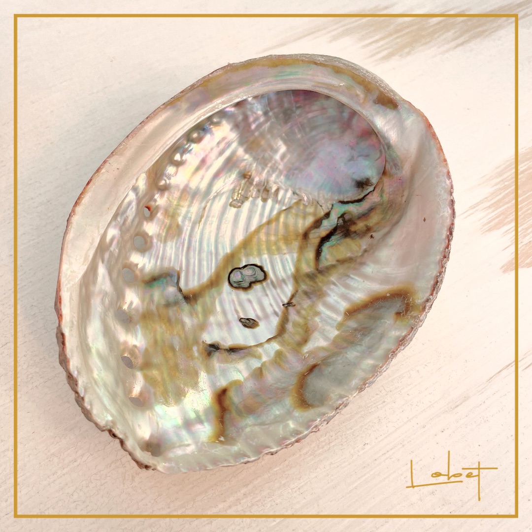 B6D0F0D8-AD5A-4AEE-9A7F-DAFB25EBFA36